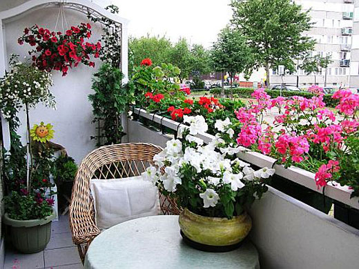 как украсить балкон цветами | Дзен