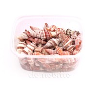 Ракушки индийские "Спиральки коричневые", 165 гр