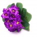 Цветок искусственный "Фиалка горшечная", 20 см. Разные цвета