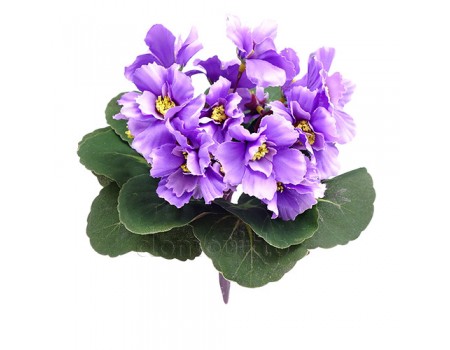 Искусственные цветы "Фиалки горшечные", 20 см ✦ 103013