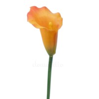 Искусственный цветок "Калла оранжевая", 62 см ✦ 103211