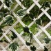 Лиана искусственная "Виноград бело-зеленый", 270 см