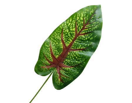 Лист каладиума искусственный, 66 см