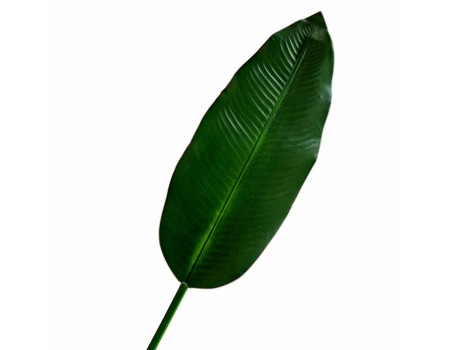 Лист пальмы искусственный, 105 см