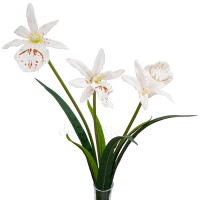 Искусственная орхидея Брассия белая, 50 см ✦ 103213