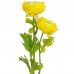 Ранункулюс с двумя цветками искусственный, 50 см