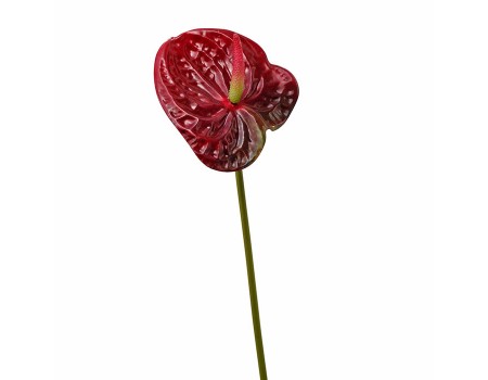 Искусственный цветок "Антуриум бордовый", 55 см ✦ 103409