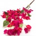 Цветок искусственный Бугенвиллея, 115 см