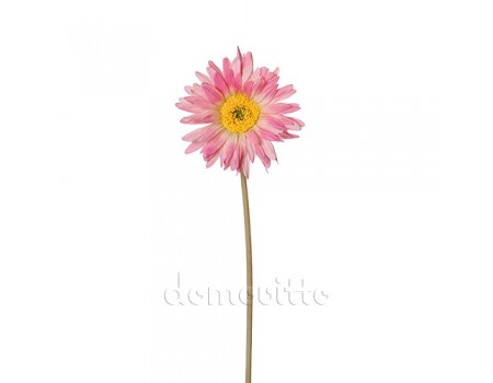 Искусственный цветок "Гербера розовая", 56 см ✦ 10037