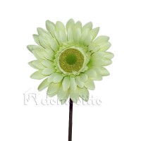 Искусственный цветок "Гербера зеленая", 65 см ✦ 100473