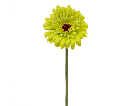 Искусственный цветок "Гербера салатовая", 10х32 см ✦ 103554