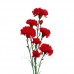 Гвоздика искусственная красная ветка, 65 см