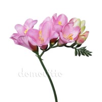 Искусственные цветы "Фрезии", 56 см. Разные цвета ✦ 100139