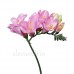 Цветы искусственные "Фрезии", 56 см