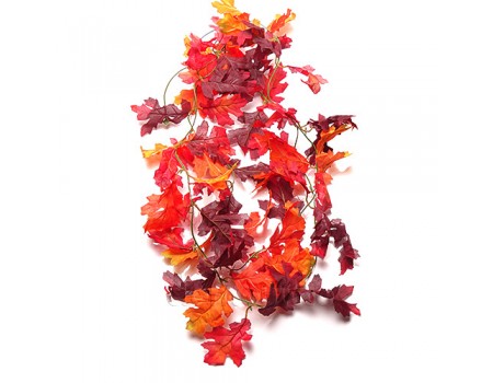 Осенняя лиана "Дуб бордовый", 250 см