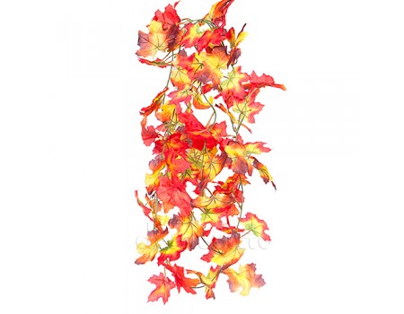 Осенняя лиана "Пестрая", 250 см