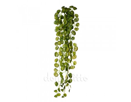Лиана ампельная с круглыми листочками, 80 см