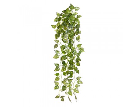 Лиана ампельная с острыми листочками, 80 см