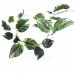 Искусственная лиана с пестрыми листьями, 270 см