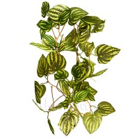 Искусственная лиана с полосатыми листьями, 250 см