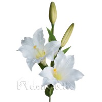 Искусственная лилия белая, 77 см ✦ 030136