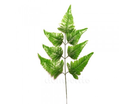Лист папоротника зеленый, 50 см
