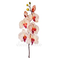 Искусственная орхидея кремовая, 76 см ✦ 100070