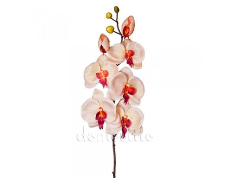 Орхидея искусственная кремовая, 76 см