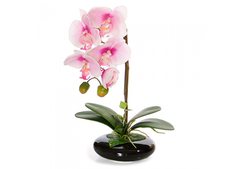 Купить орхидею в сочи. Фаленопсис белый 60 см в горшке. Орхидея мини в белом горшке. Орхидея искусственная в горшке фото. Орхидеи Воронеж.