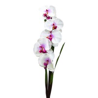 Искусственная орхидея белая, 98 см ✦ 021075