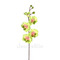 Искусственная орхидея зеленая, 65 см ✦ 100253
