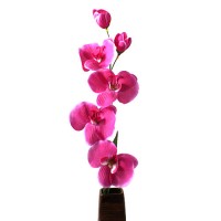 Искусственная орхидея розовая, 62 см ✦ 100462