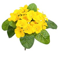 Искусственные цветы "Примула желтая", 16 см ✦ 10050