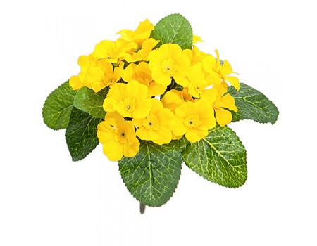Цветы искусственные Примула желтая, 16 см
