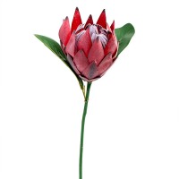 Искусственный цветок "Протея". Цвет: Бордовый, Кремовый ✦ 103412