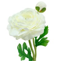 Искусственный цветок "Ранункулюс белый", 36 см ✦ 030024
