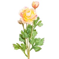 Искусственный цветок "Ранункулюс кремовый", 45 см ✦ 103450