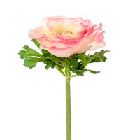 Искусственный цветок "Ранункулюс светло-розовый", 53 см ✦ 103452
