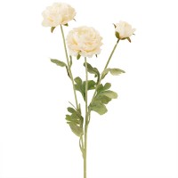 Искусственные цветы "Ранункулюсы белые/кремовые", 50 см ✦ 103576