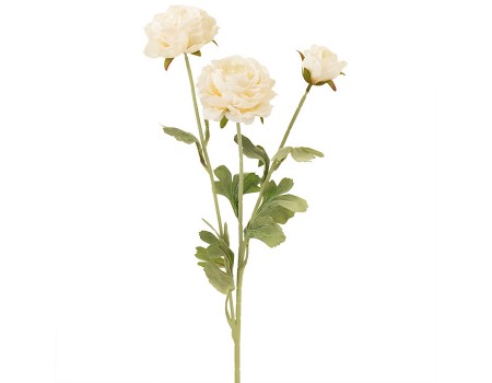 Искусственные цветы "Ранункулюсы белые/кремовые", 50 см ✦ 103576