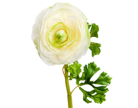 Искусственный цветок "Ранункулюс белый", 60 см ✦ 103455