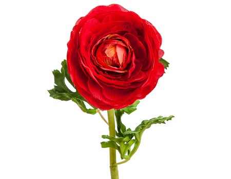 Искусственный цветок "Ранункулюс красный", 60 см ✦ 103456