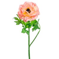 Искусственный цветок "Ранункулюс персиковый", 55 см ✦ 103453