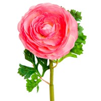 Искусственный цветок "Ранункулюс розовый", 60 см ✦ 103457