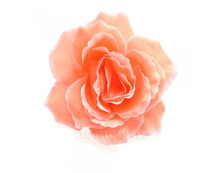 Голова розы искусственная персиковая, 14 см
