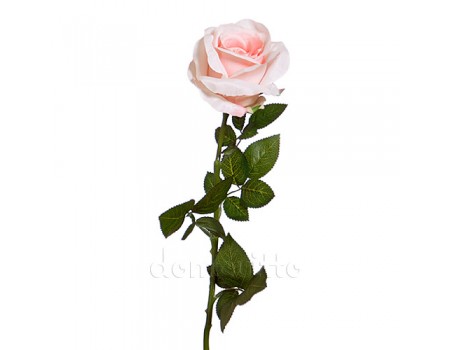 Роза интерьерная розовая, 68 см