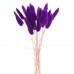 Лагурус фиолетовый для сухих букетов, 20 шт