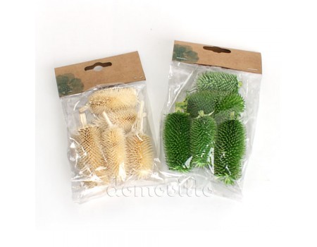 Кардо, соцветия декоративные (5 шт)