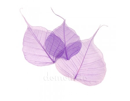 Листья скелетированные фиолетовые, 10 шт