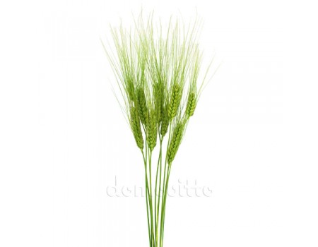 Пшеница натуральная, 25 гр. Цвет: Зеленый